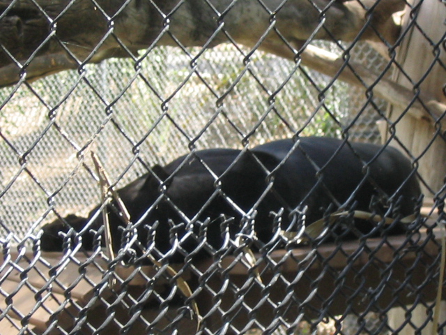 618x457 pixels (217K)